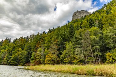 Nehrin Dunajec dönüş