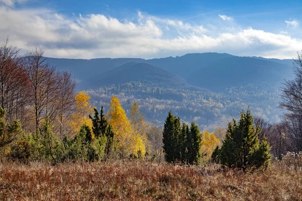 Landschap Van Herfsttoppen Van Karpaten Oost Karpaten Polen — Stockfoto