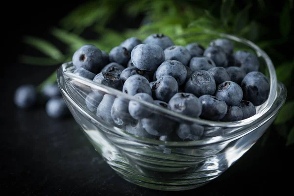 Blueberry Antioxidant Organic Bowl Small Depth Field — Stock Photo, Image