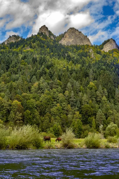 Trail to the top of the Three Crowns in Pieniny mountains.