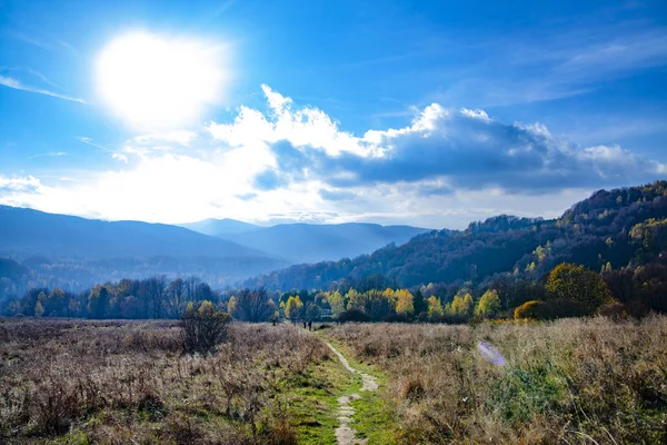 Paysage Des Pics Automnaux Des Carpates Carpates Orientales Pologne — Photo