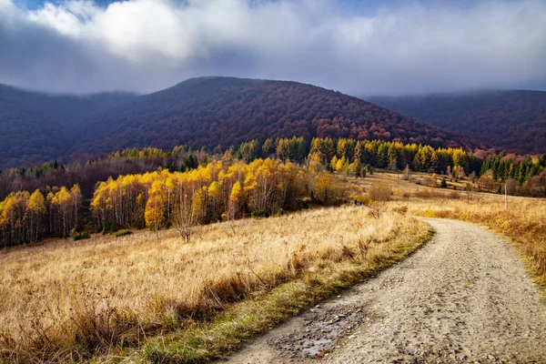 Landschaft Der Herbstlichen Gipfel Der Karpaten Ostkarpaten Polen — Stockfoto