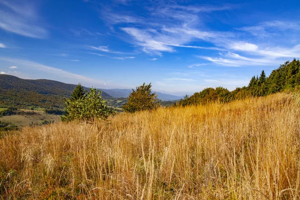 Paisaje Picos Otoñales Los Cárpatos Cárpatos Orientales Polonia — Foto de Stock