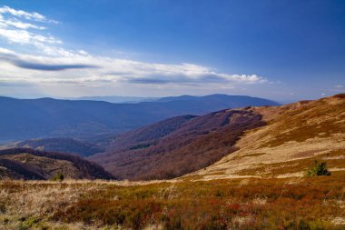 Karpatlar 'ın sonbahar zirvelerinin manzarası. Doğu Karpatlar, Polonya.