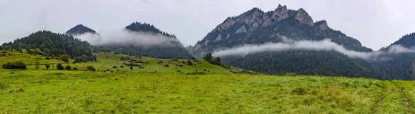 Drei Kronen Nebel Pieniny Nationalpark Polen — Stockfoto