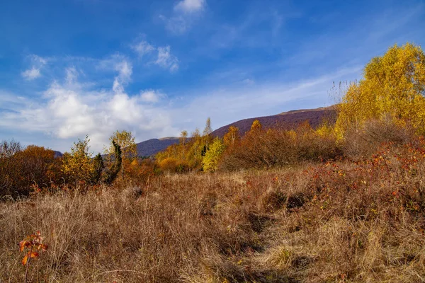 Paisaje Picos Otoñales Los Cárpatos Cárpatos Orientales Polonia —  Fotos de Stock