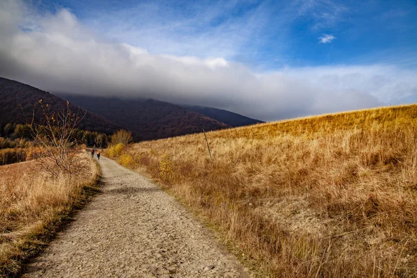 Landschaft Der Herbstlichen Gipfel Der Karpaten Ostkarpaten Polen — Stockfoto