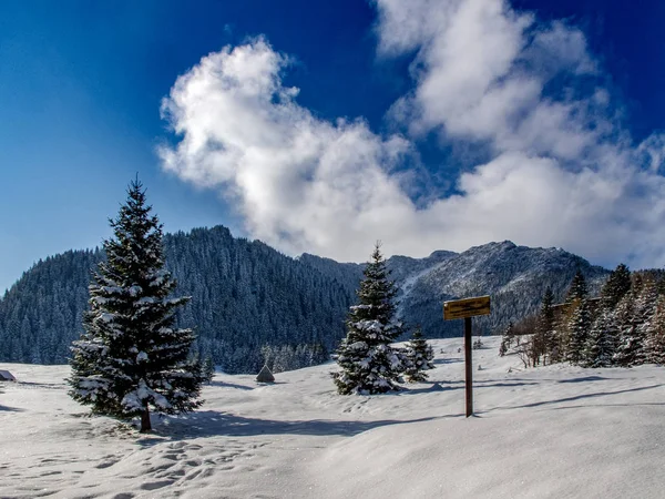 Landschaft Des Schönen Winters Der Polnischen Tatra — Stockfoto