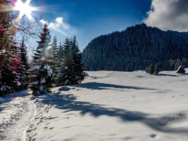 Paesaggio Bellissimo Inverno Nelle Montagne Polacche Dei Tatra — Foto Stock