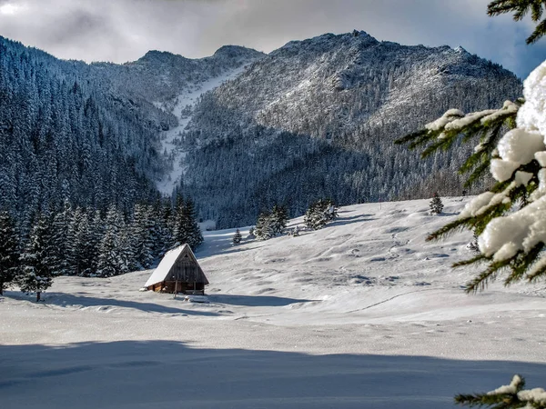 Pejzaż Piękny Zimowy Polskich Tatrach — Zdjęcie stockowe