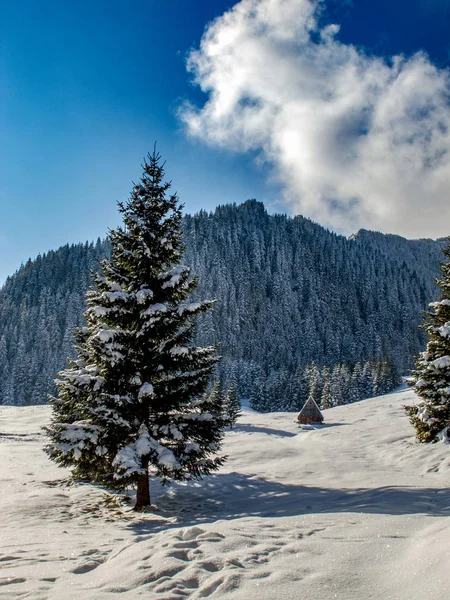 Krajina Krásná Zimní Polských Tatrách — Stock fotografie