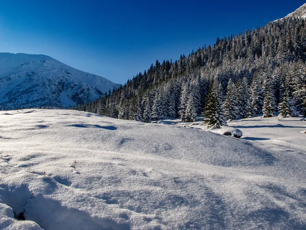 Krajina Krásná Zimní Polských Tatrách — Stock fotografie