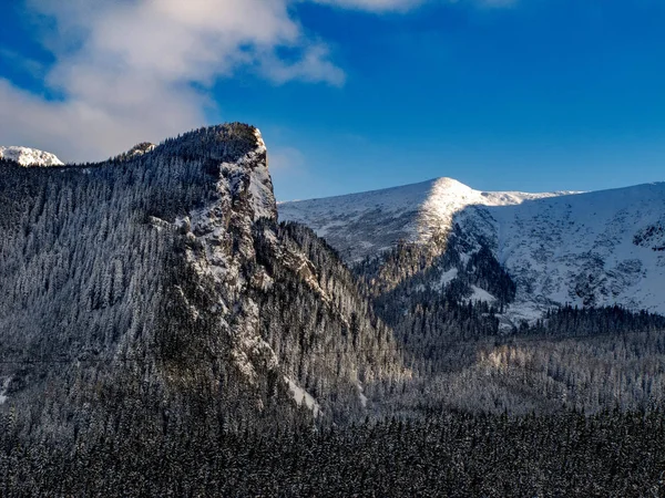 Manzara güzel kış Polonya Tatra Dağları.