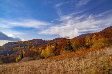 Karpatlar 'ın sonbahar zirvelerinin manzarası. Doğu Karpatlar, Polonya.
