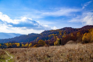 Karpatlar 'ın sonbahar zirvelerinin manzarası. Doğu Karpatlar, Polonya.