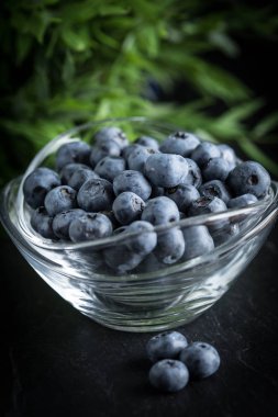 Yaban mersini antioksidan organik bir kase. Küçük alan derinliği.