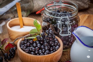 Siyah chokeberry işlenmek üzere hazırlanan meyve.