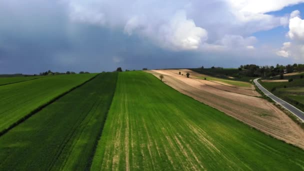 Blick Auf Frühlingshaft Bewirtschaftete Felder — Stockvideo