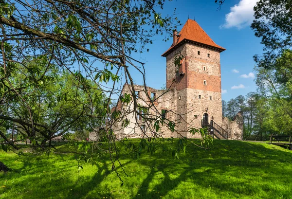 Chudow, poland - 02. Mai 2019: Ruinen des Renaissanceschlosses i — Stockfoto