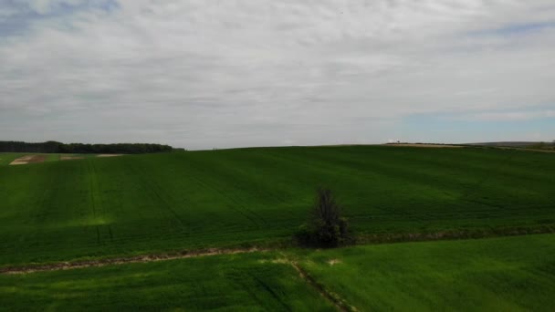 Blick Auf Frühlingshaft Bewirtschaftete Felder — Stockvideo