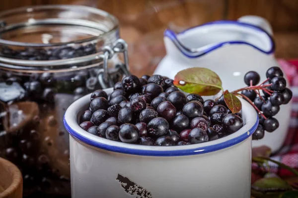 Fruits of black chokeberry prepared for processing. — Stock Photo, Image