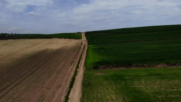 Vista Los Campos Cultivados Primavera — Vídeos de Stock