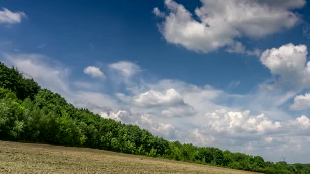 Nuvens Brancas Mudando Céu Azul — Vídeo de Stock