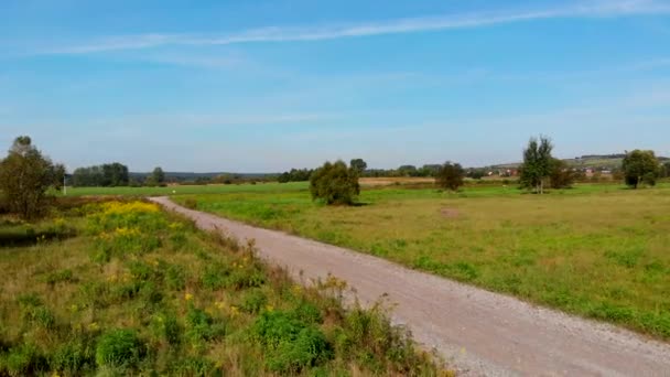 Pradera Salvaje Otoñal Imágenes — Vídeo de stock