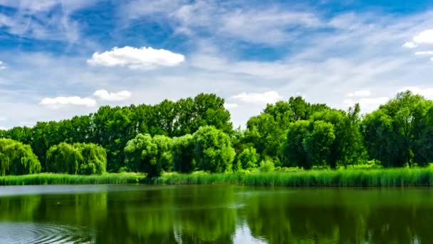 Grüner Stadtpark Mit Gartenteich Bäumen Und Blauem Himmel — Stockvideo