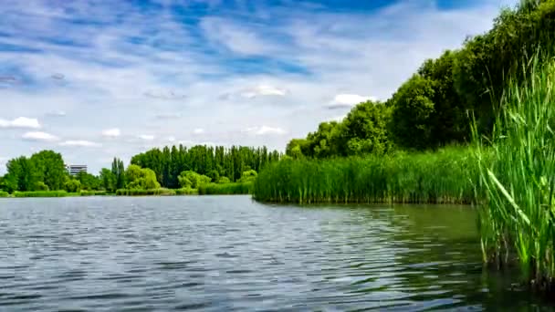 Green Urban Park Med Anlagda Damm Träd Och Blå Himmel — Stockvideo