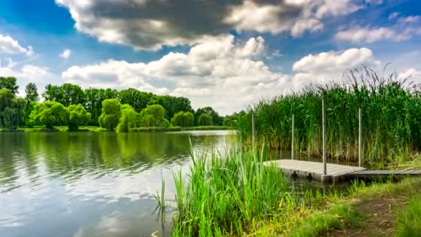 Grüner Stadtpark Mit Gartenteich Bäumen Und Blauem Himmel — Stockvideo