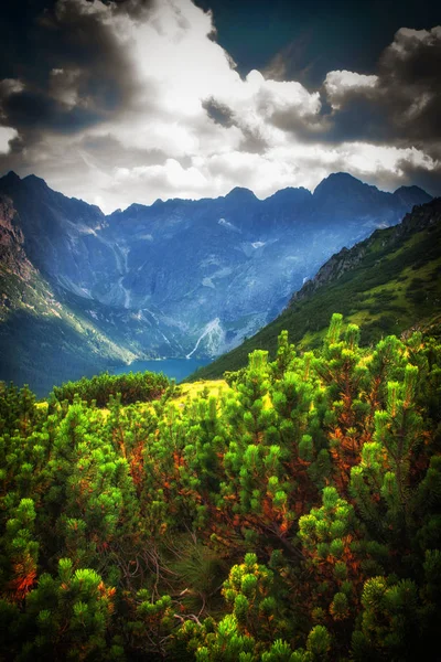 Berglandschaft, Tatra-Nationalpark, Polen. — Stockfoto