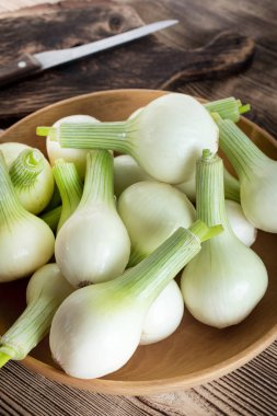 Beyaz genç soğan.