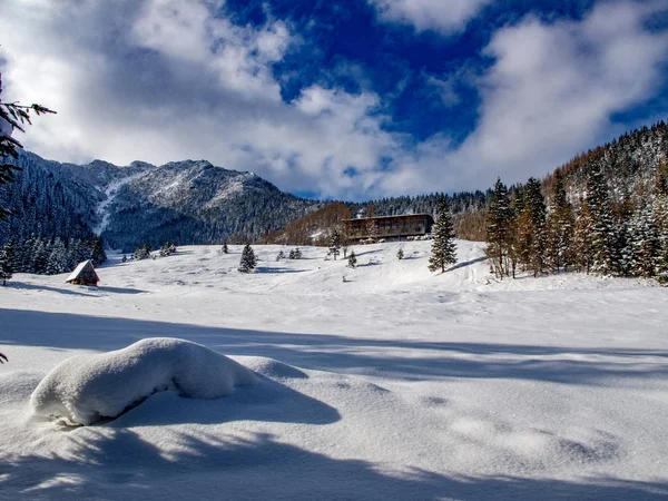 Landschaft des schönen Winters. — Stockfoto