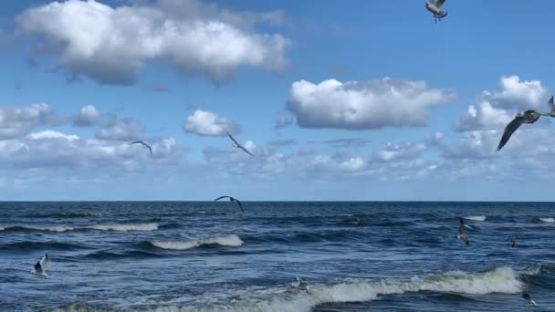 Голубые Волны Медленно Катятся Побережью — стоковое видео
