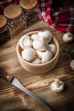 Taze beyaz champignon mantar.