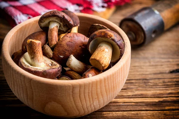 Forest mushroom in wooden bowl. — Stock Photo, Image