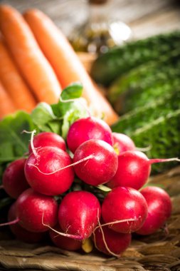 Ev bahçesinden taze sebzeler. Seçici odak.