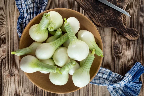 Witte Jonge Een Houten Kom — Stockfoto