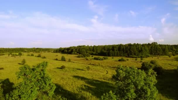 Prairies Forêts Lumière Soleil Couchant — Video