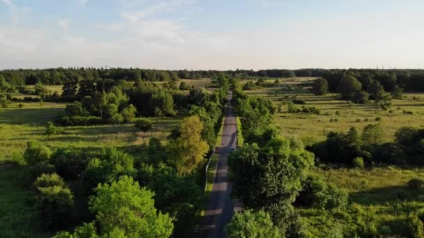 Prados Bosques Luz Puesta Del Sol — Vídeo de stock