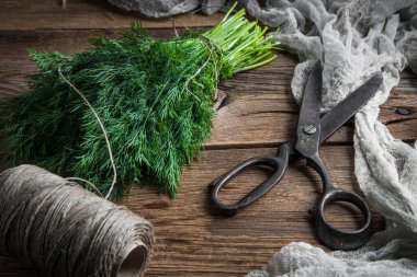 Dill. Tahta masada taze bahçe otları..