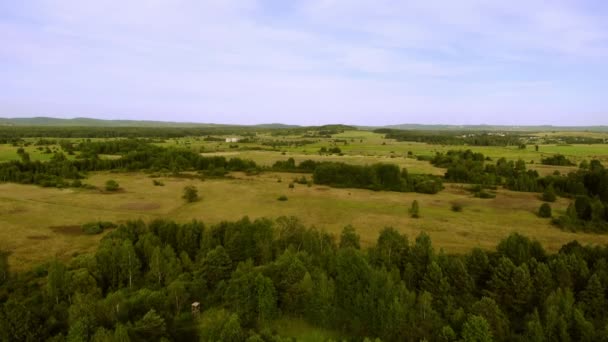 Prairies Forêts Lumière Coucher Soleil Vue Haut — Video