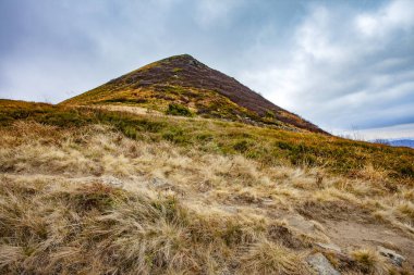Karpatlar 'ın sonbahar zirvelerinin manzarası. Doğu Karpatlar, Polonya.