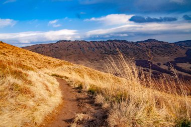 Karpatlar 'ın sonbahar zirvelerinin manzarası. Doğu Karpatlar, Polonya.