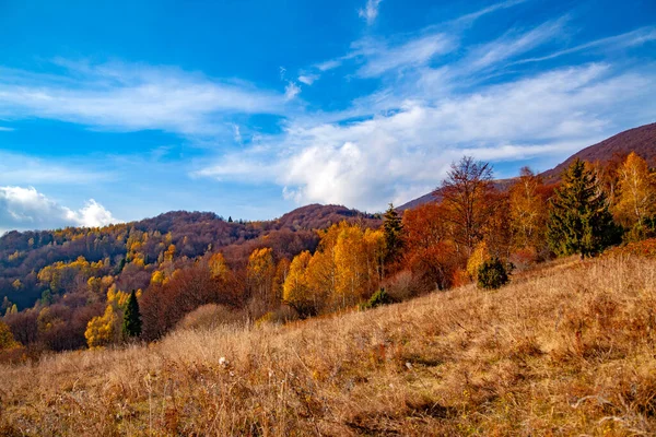 Paysage Des Pics Automnaux Des Carpates Carpates Orientales Pologne — Photo