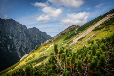 Tatras Dağları güneşli bir günde zirve yapar.