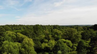 Batan güneşin ışığında çayırlar ve ormanlar. Yukarıdan görüldü..