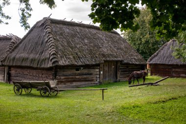 LUBLİN, POLAND - 31 AĞUSTOS 2020: Lublin Açık Hava Köyü Müzesi.