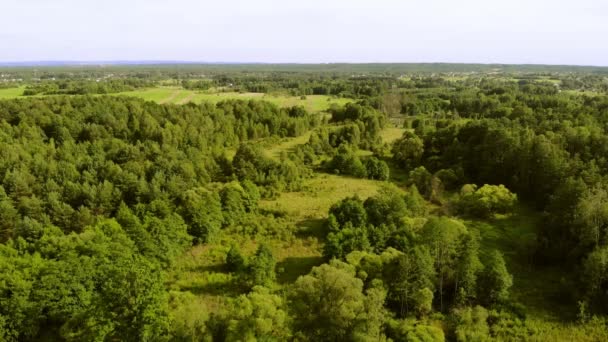 Padang Rumput Dan Hutan Dalam Terang Pengaturan Sun Seen Dari — Stok Video